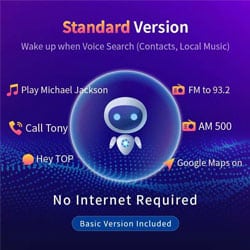 Toppal Voice Standard LX