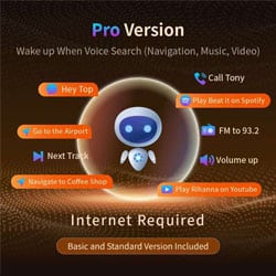 Toppal Voice Pro LX