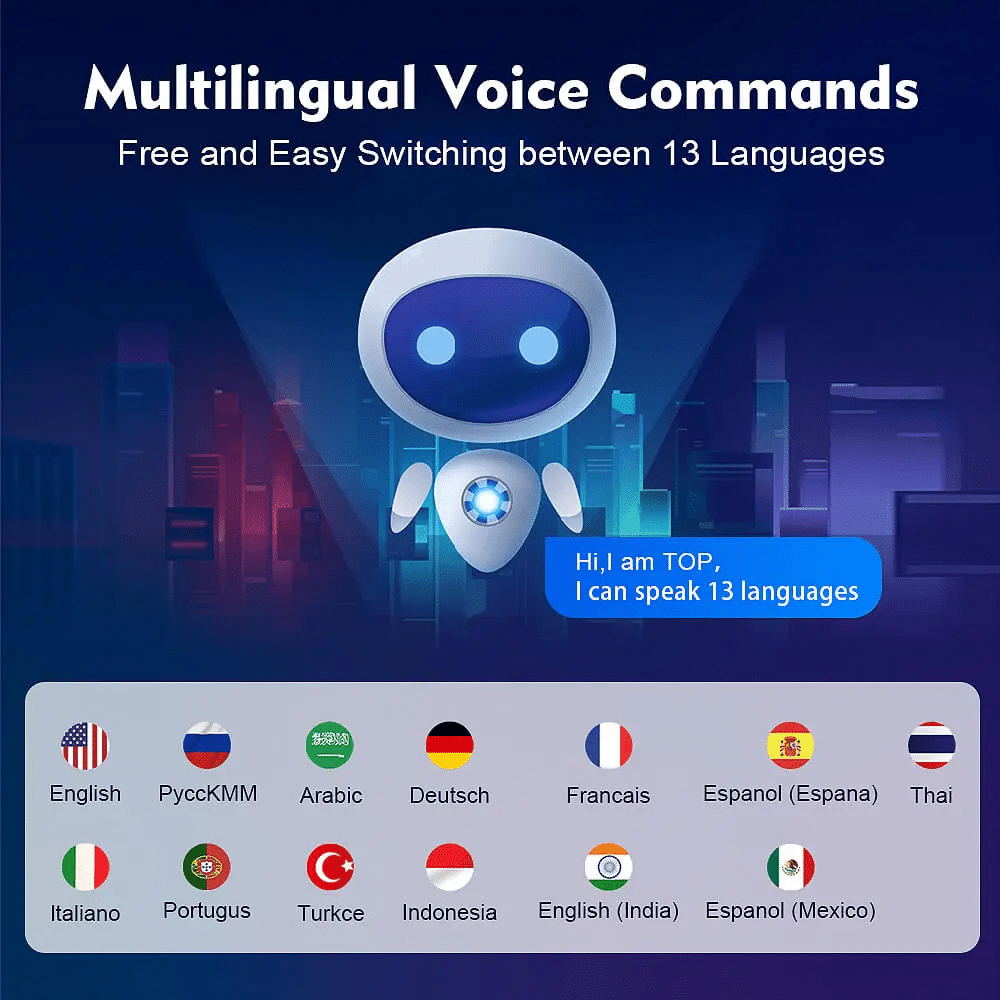 Toppal Voice UI