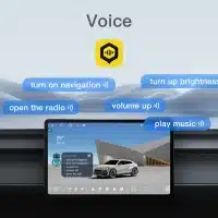 Dofun Voice
