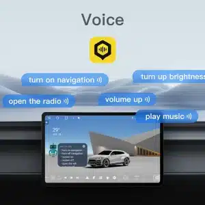 Dofun Voice